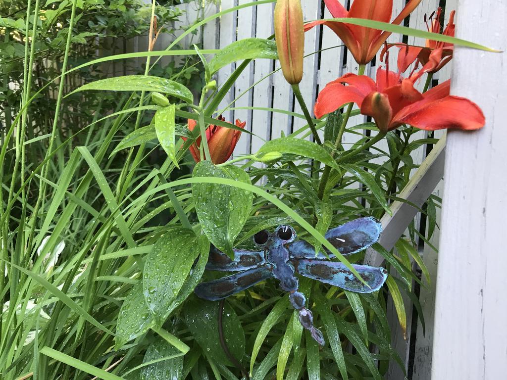 Dragonfly Guest House Ogunquit Buitenkant foto