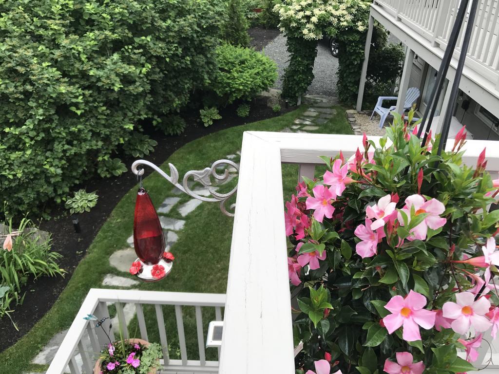 Dragonfly Guest House Ogunquit Buitenkant foto